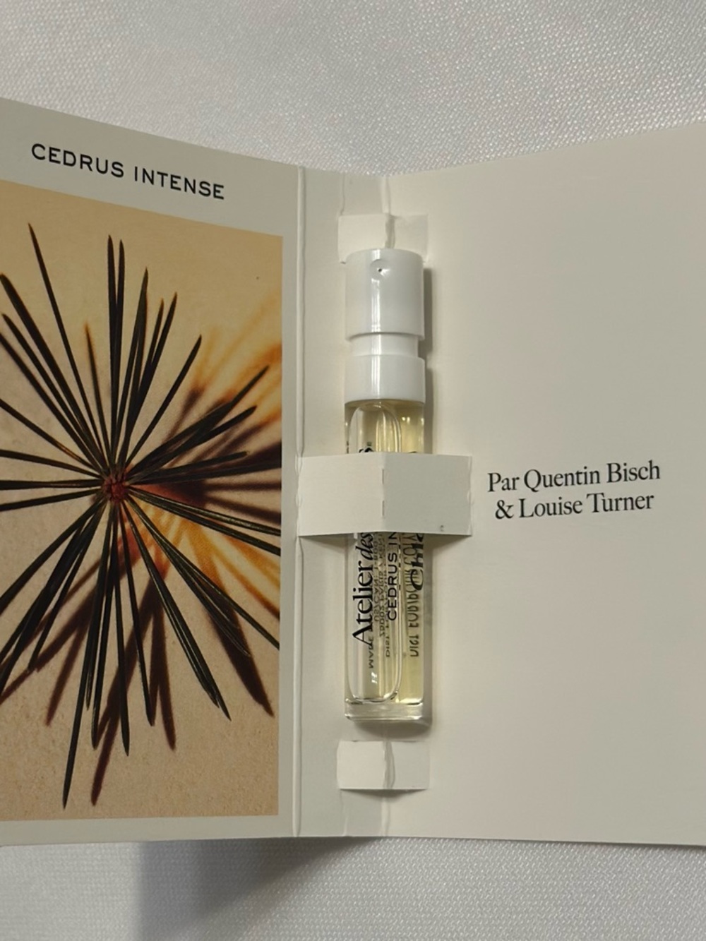 Six Assorted Samples - Picture 4 of 6